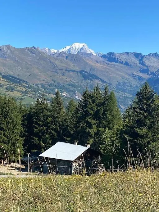 La Plagne, Montchavin, Les Coches Apartment La Plagne-Tarentaise